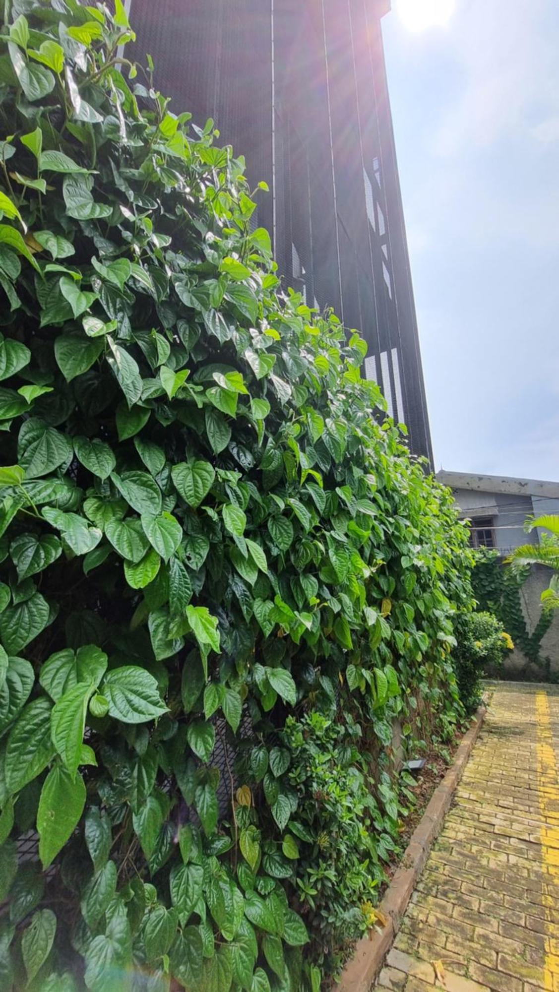 Guest House 555 Nki South Tangerang エクステリア 写真