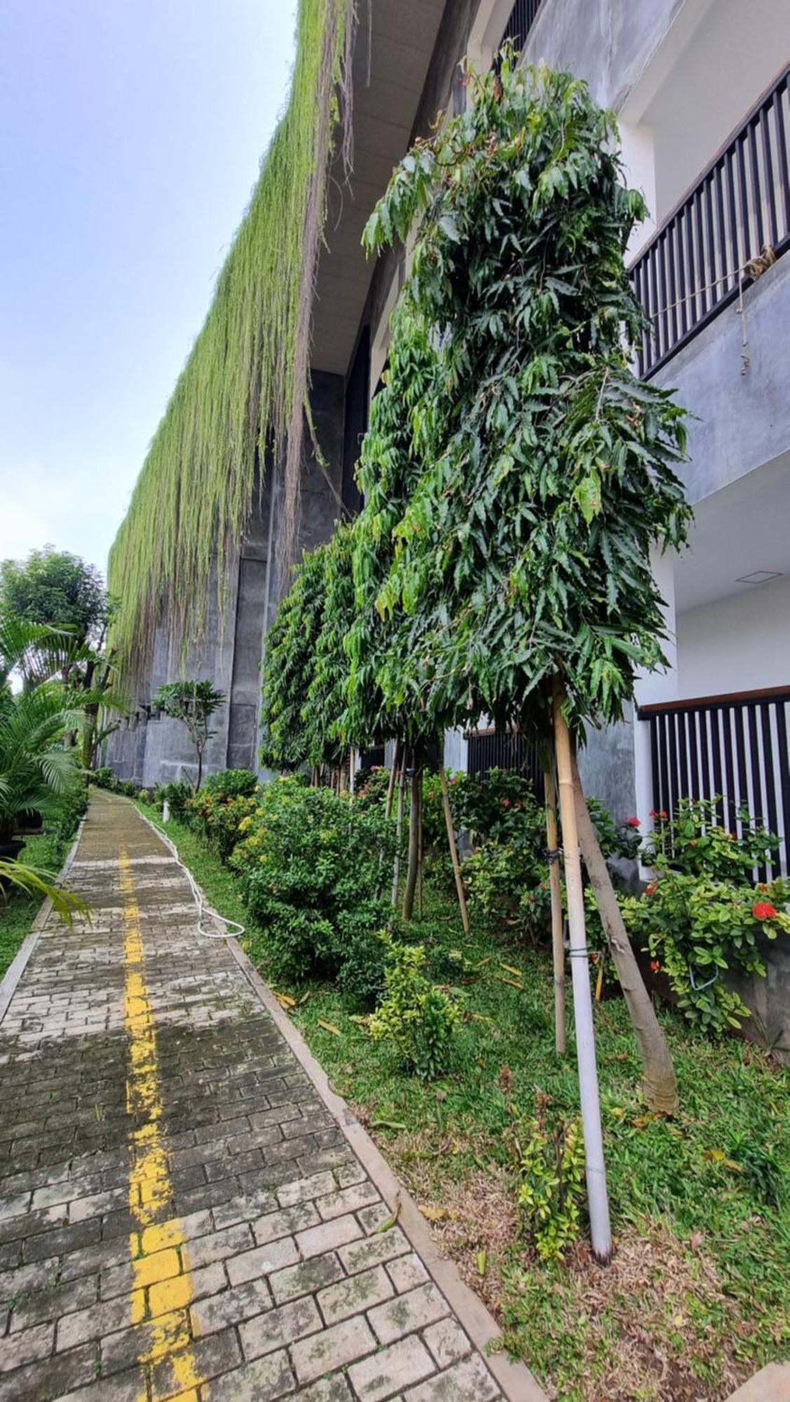 Guest House 555 Nki South Tangerang エクステリア 写真